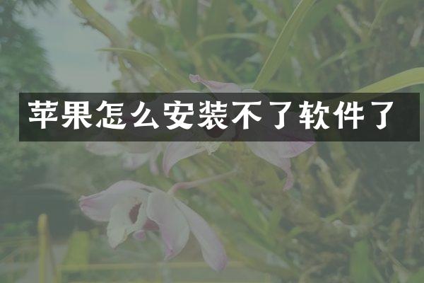 苹果怎么安装不了软件了