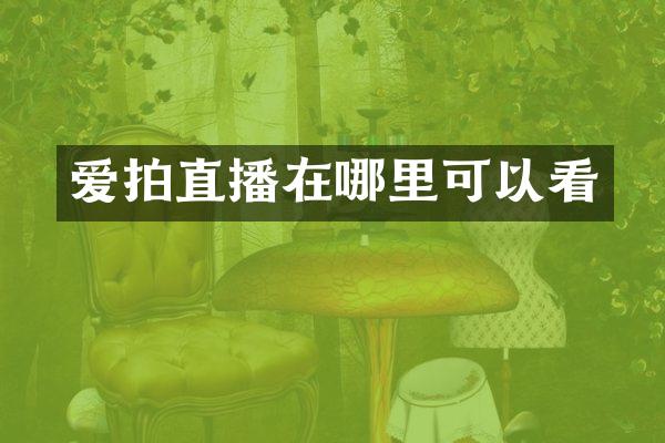 爱拍直播在哪里可以看