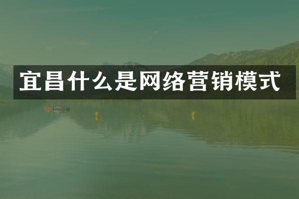 宜昌什么是网络营销模式