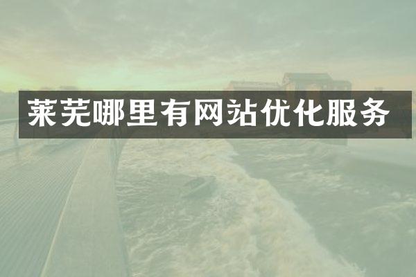 莱芜哪里有网站优化服务
