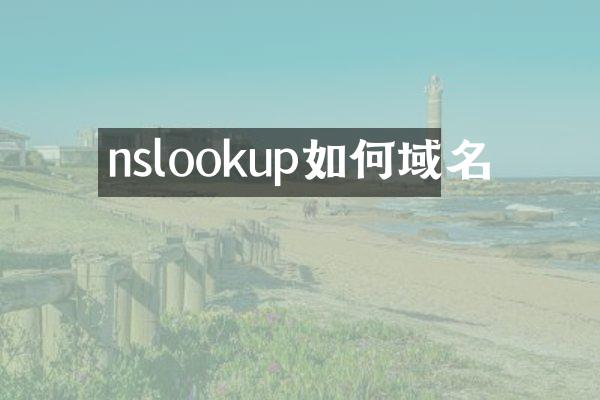 nslookup如何域名