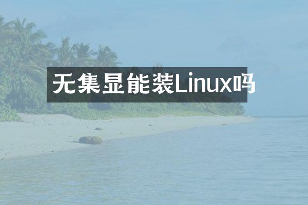 无集显能装Linux吗