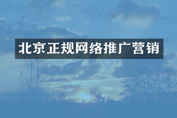 北京正规网络推广营销