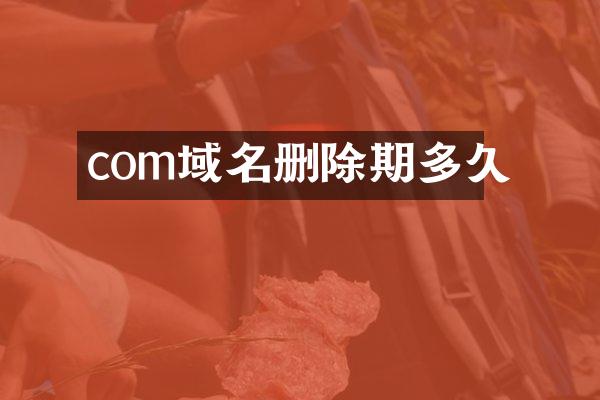 com域名删除期多久