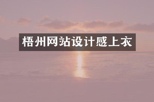 梧州网站设计感上衣
