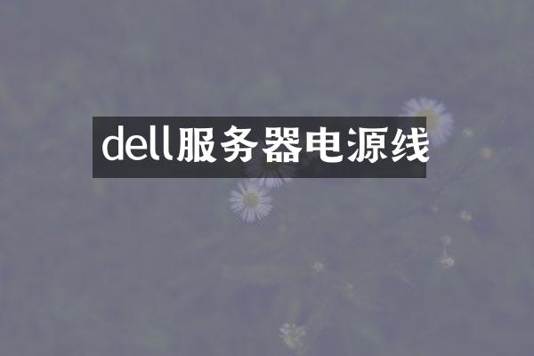 dell服务器电源线