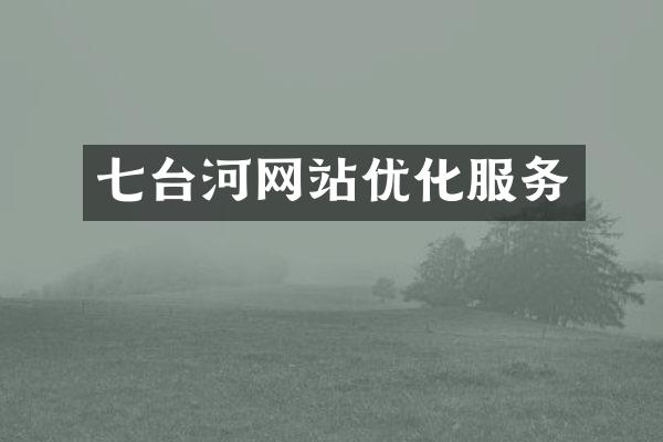 七台河网站优化服务