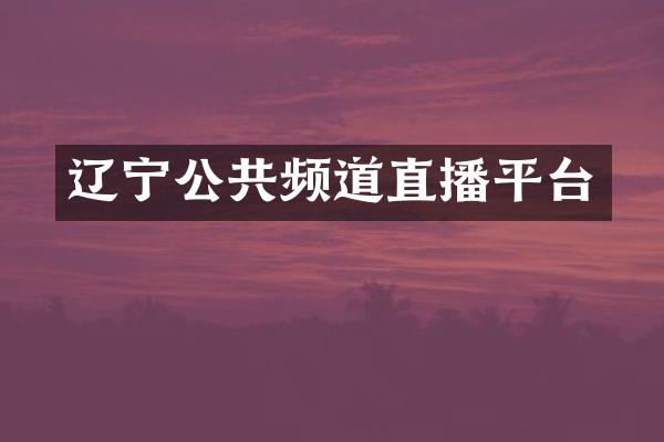 辽宁公共频道直播平台