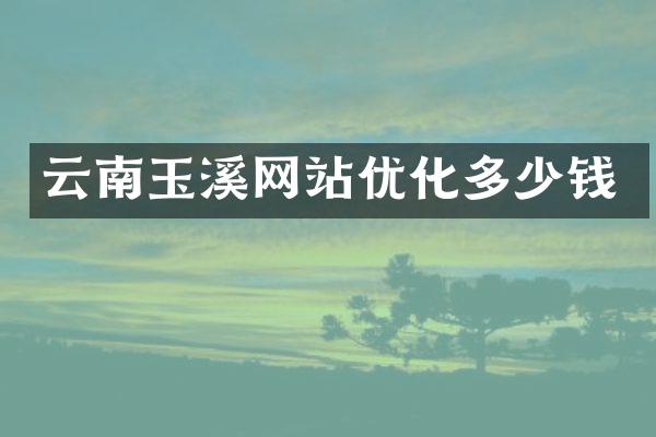 云南玉溪网站优化多少钱