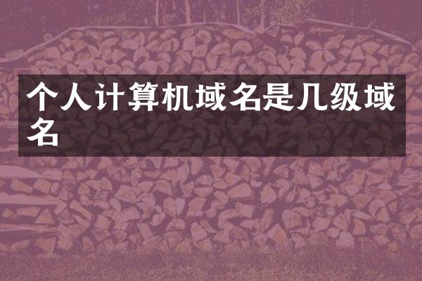 个人计算机域名是几级域名