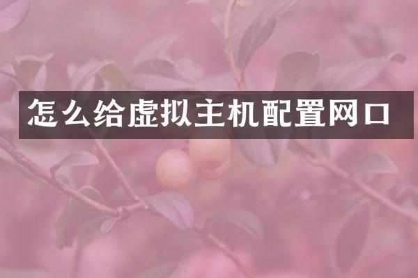 怎么给虚拟主机配置网口