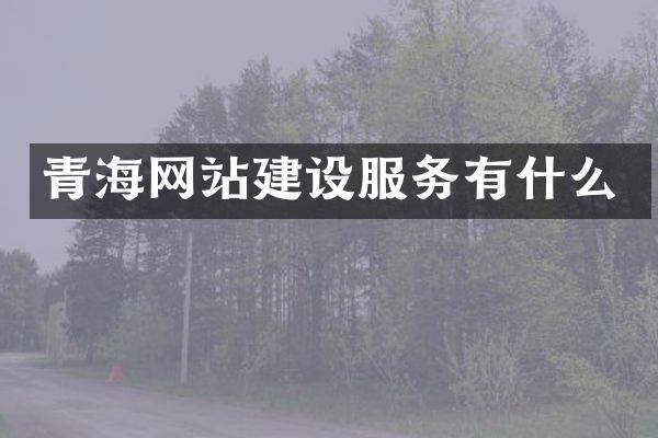 青海网站建设服务有什么