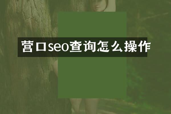 营口seo查询怎么操作