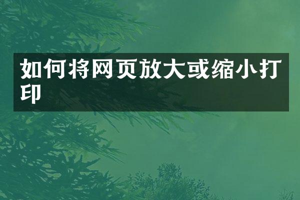 如何将网页放大或缩小打印