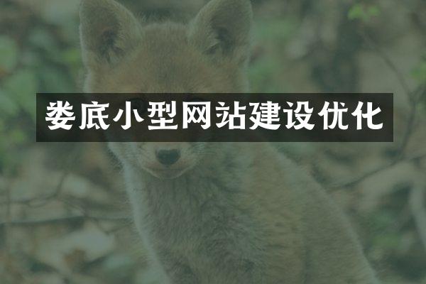 娄底小型网站建设优化