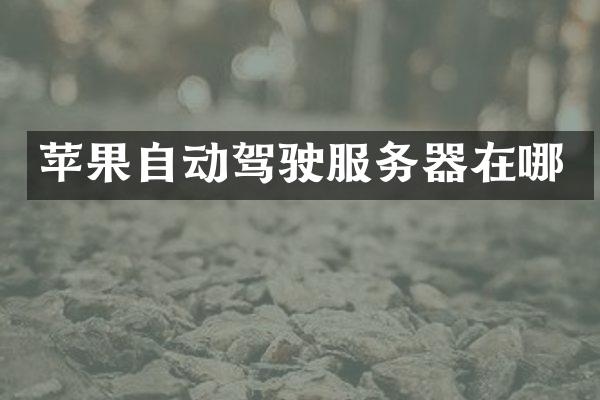 苹果自动驾驶服务器在哪