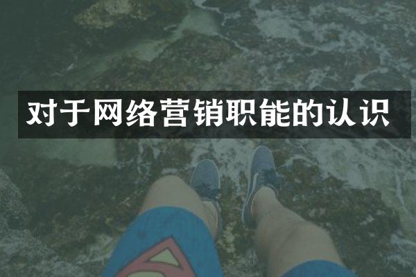 对于网络营销职能的认识