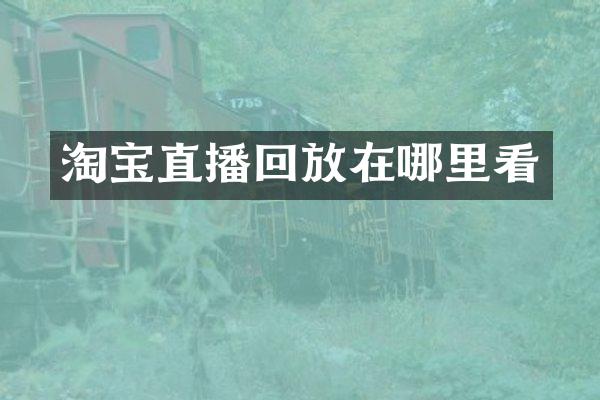 淘宝直播回放在哪里看