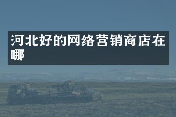 河北好的网络营销商店在哪