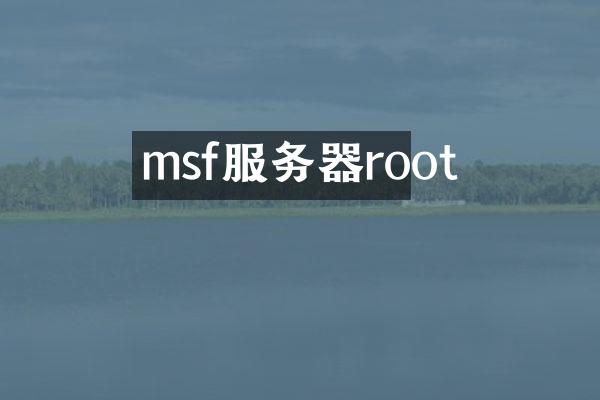msf服务器root