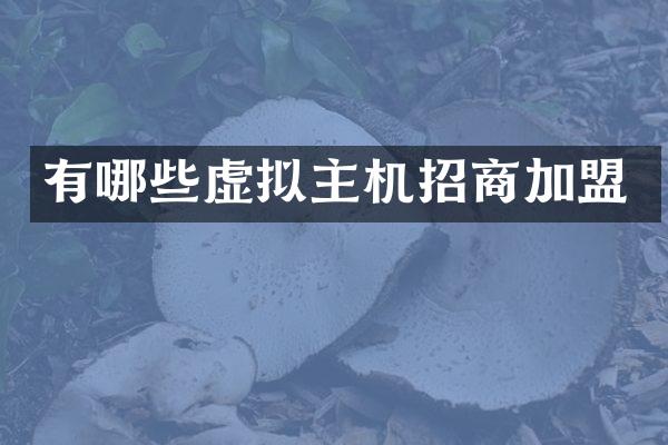 有哪些虚拟主机招商加盟