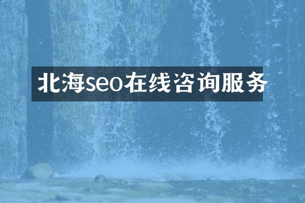 北海seo在线咨询服务