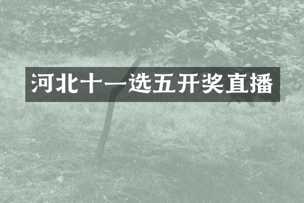 河北十一选五开奖直播
