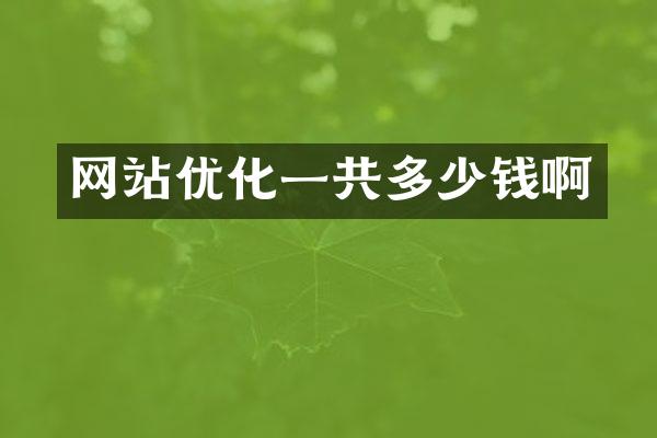 网站优化一共多少钱啊