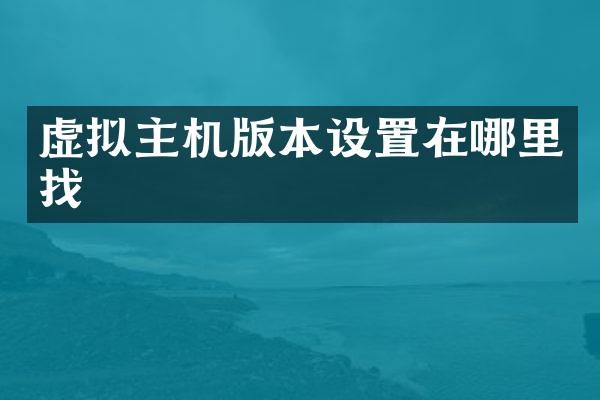 虚拟主机版本设置在哪里找