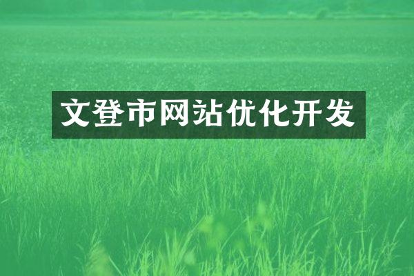 文登市网站优化开发