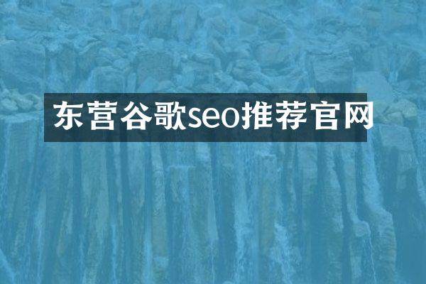 东营谷歌seo推荐官网
