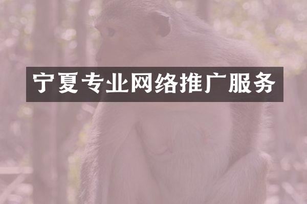 宁夏专业网络推广服务