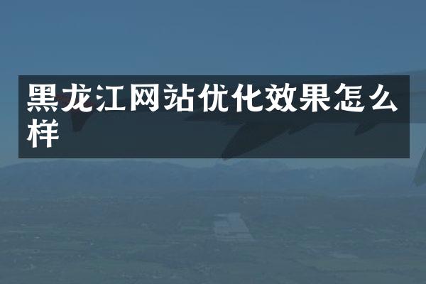 黑龙江网站优化效果怎么样