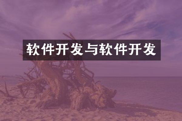 软件开发与软件开发