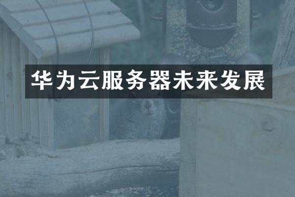 华为云服务器未来发展