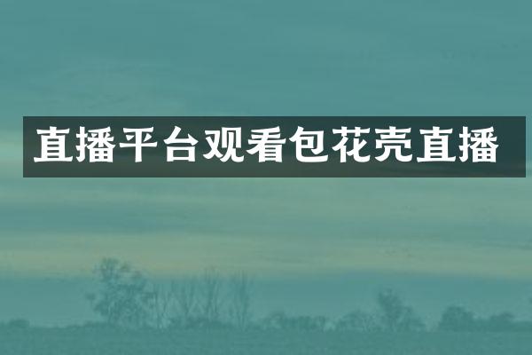 直播平台观看包花壳直播