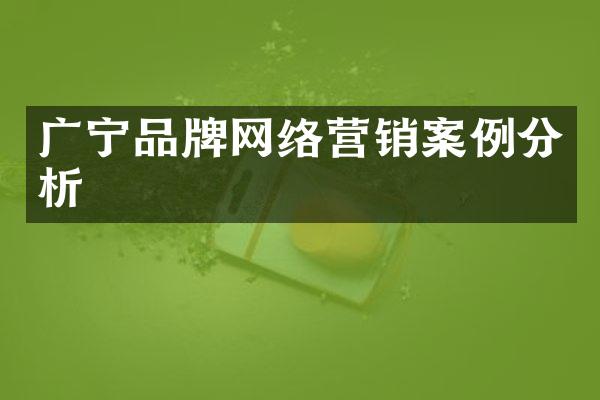 广宁品牌网络营销案例分析