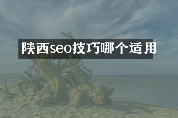 陕西seo技巧哪个适用