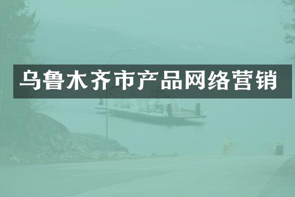 乌鲁木齐市产品网络营销
