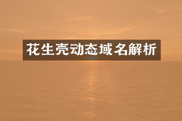 花生壳动态域名解析