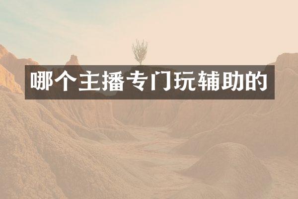 哪个主播专门玩辅助的