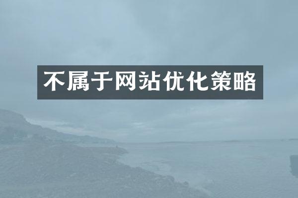 不属于网站优化策略