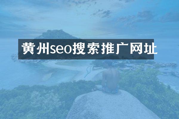 黄州seo搜索推广网址