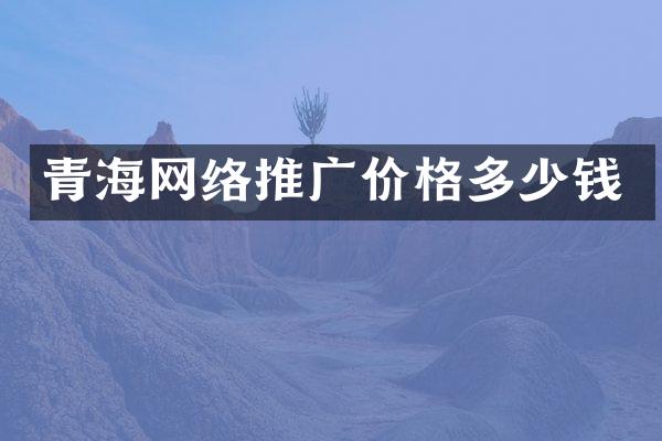 青海网络推广价格多少钱
