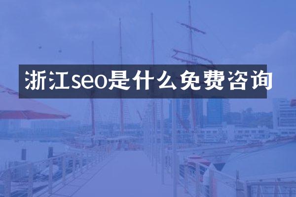 浙江seo是什么免费咨询