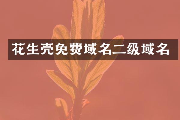 花生壳免费域名二级域名
