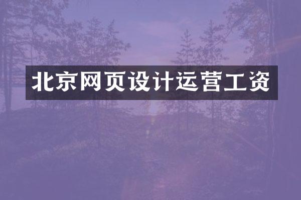 北京网页设计运营工资
