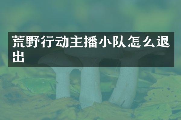 荒野行动主播小队怎么退出
