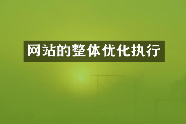网站的整体优化执行