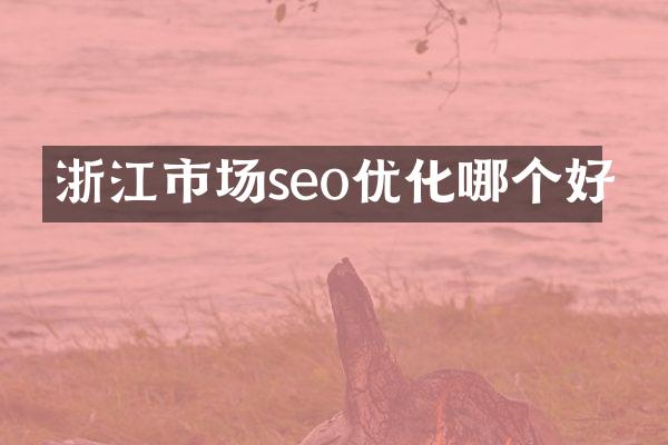 浙江市场seo优化哪个好